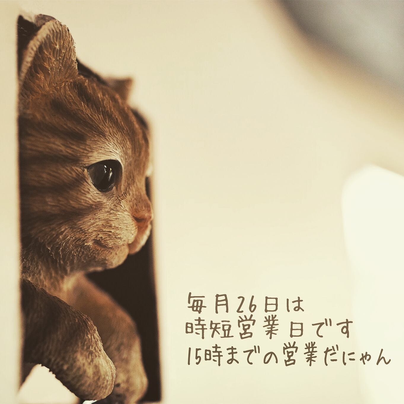 Instagram アーカイブ ページ 4 38 さくらとねこと 猫カフェじゃないよ